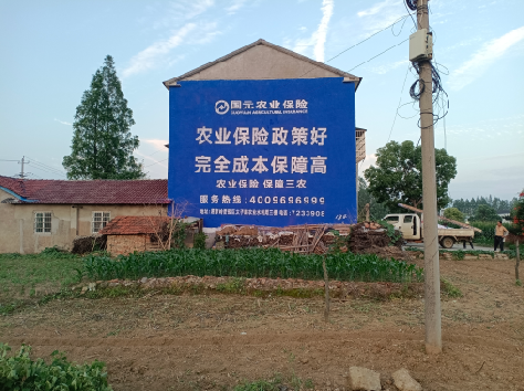  剑河墙体广告的优劣势你知道吗？